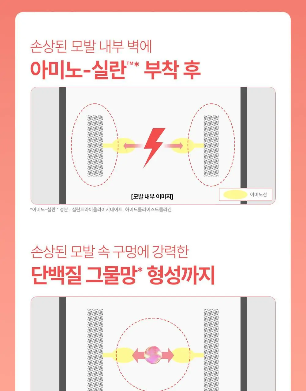 [열보호] 실크테라피 히트인핸서 헤어 밀크 150ml 2종 택 1(단품/기획) 상세페이지 14